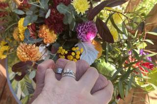 Shady Grove Gardens & Nursery - 10
