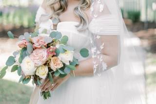 Carolina Palms Photography - 5