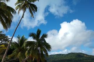 Perfect Honeymoons - 30