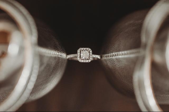 Brenda Elizabeth Photography - 4