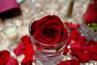Affordable Flowers - 12