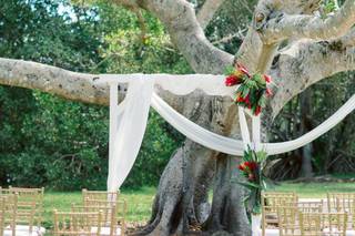 Wedding Day Romance - 7