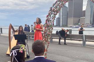 Stephanie Babirak, Harpist - 15