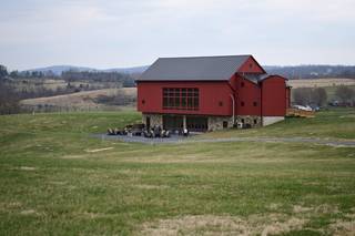 Terra Nebulo Vineyards - 6