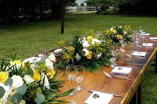Hawaii Tents and Events - 6