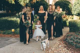 Organized Occasions - 23