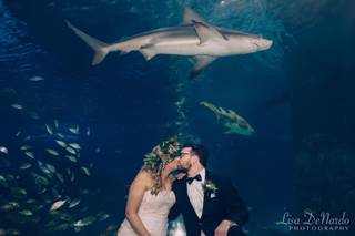 Adventure Aquarium - 53