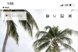 Family Affair Key West Wedding Planning Services - 56