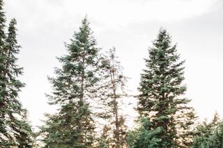 Vita Podolyan Photography - 19
