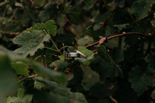 David McCandless Photography - 13
