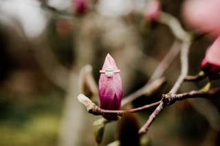 EZER Photo - 18