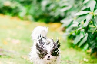 Rachel Howerton Photography - 27