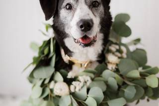 Shannon Moffit Photography - 32