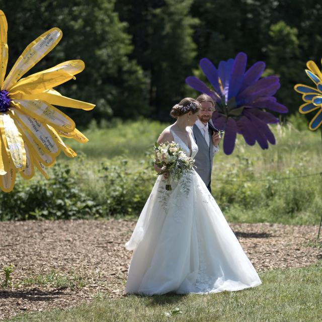 Pure Joy flowers - 1