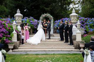 Peter Ellens Photography - 13