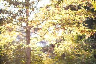 Radiant Photography by Sydney Danielle - 50