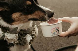 Little Ladies Soft Serve - 8