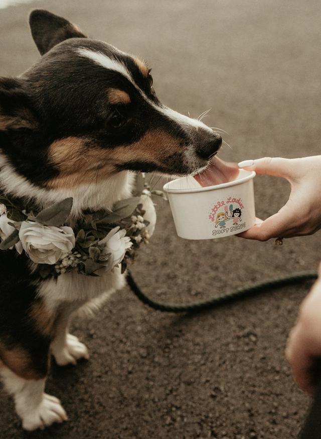 Little Ladies Soft Serve - 3