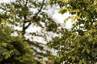 Raluca Rodila Photography - 14
