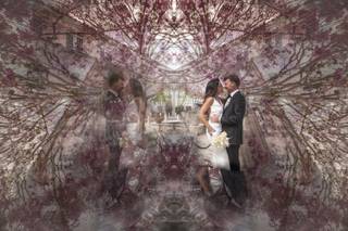 Victoria Machin Photography - 22