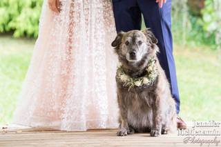 Jennifer McMenamin Photography - 14