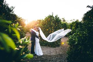 Leniel V. Photography - 61