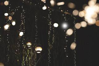 Thomas Farm Weddings & Events - 48