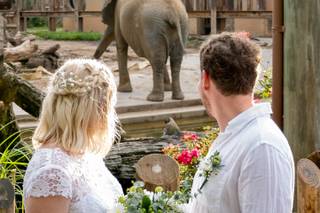 Zoo Knoxville - 15
