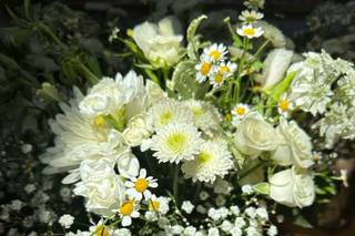 Restoration Blooms - 28