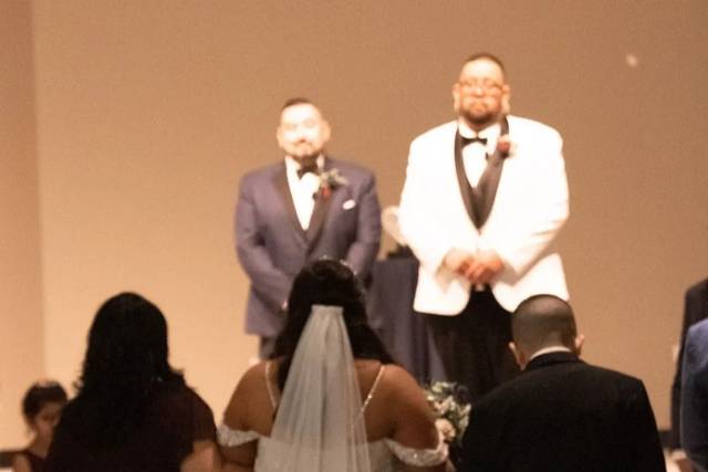 Westy Weddings 1