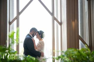 The Purple Pebble Photography - 11