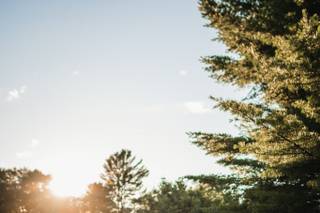 Andy Gagne Photography - 6