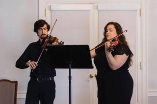 Ariana Strings - 23