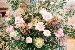 Aster & Fir - 13
