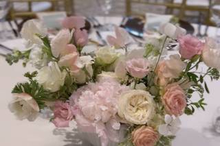 Lucy Blooms - 26