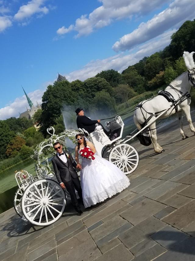 Dream Horse Carriage Company - 1