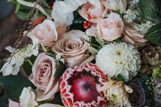 Wild Poppy Florists - 7