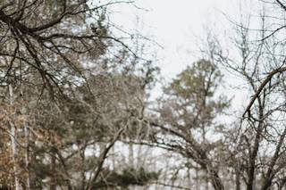 White Oak Venue - 6