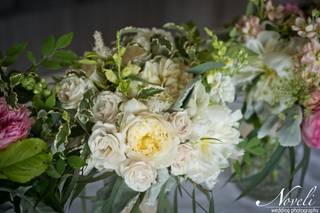 Earth Blooms - 34