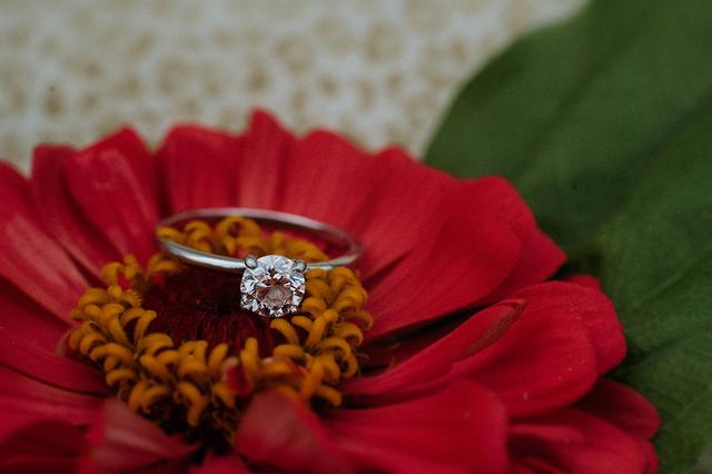 Stephanie West Photography - 3