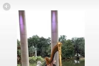 Ashley Toman- Harpist - 5
