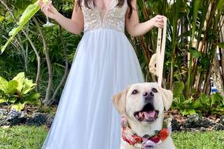 Woman's Club of Coconut Grove presented by Coconut Grove Events - 13