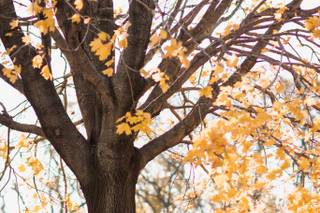 Shelby Phillips Photography - 30