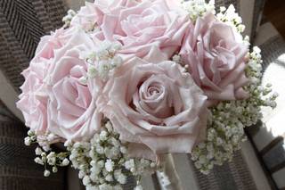 La Bella Rose - 25