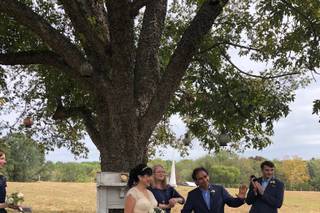 Green Leaf Farms - 19