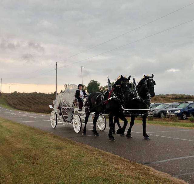 Cinderella Carriage LLC - 4