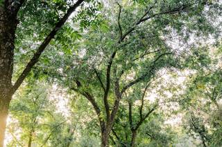 Tony George Photography - 67