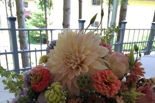 Folls' Flowers - 119