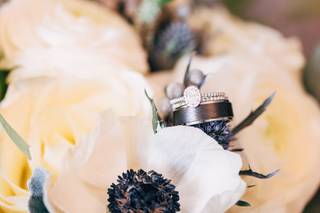 David Howell Photography - 13
