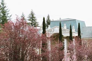 The Empress Estate - 58